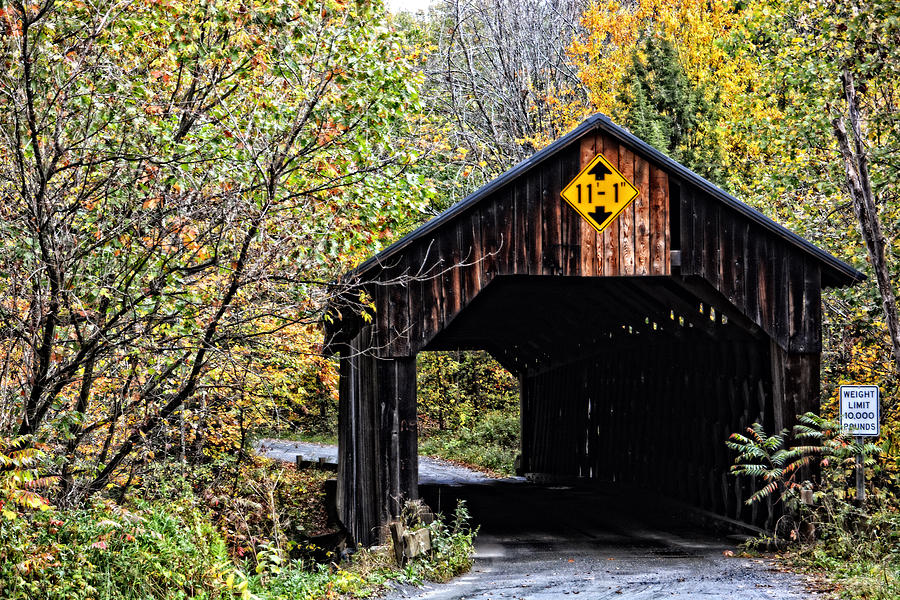Martinsville Covered Bridge #1 Photograph by Mike Martin