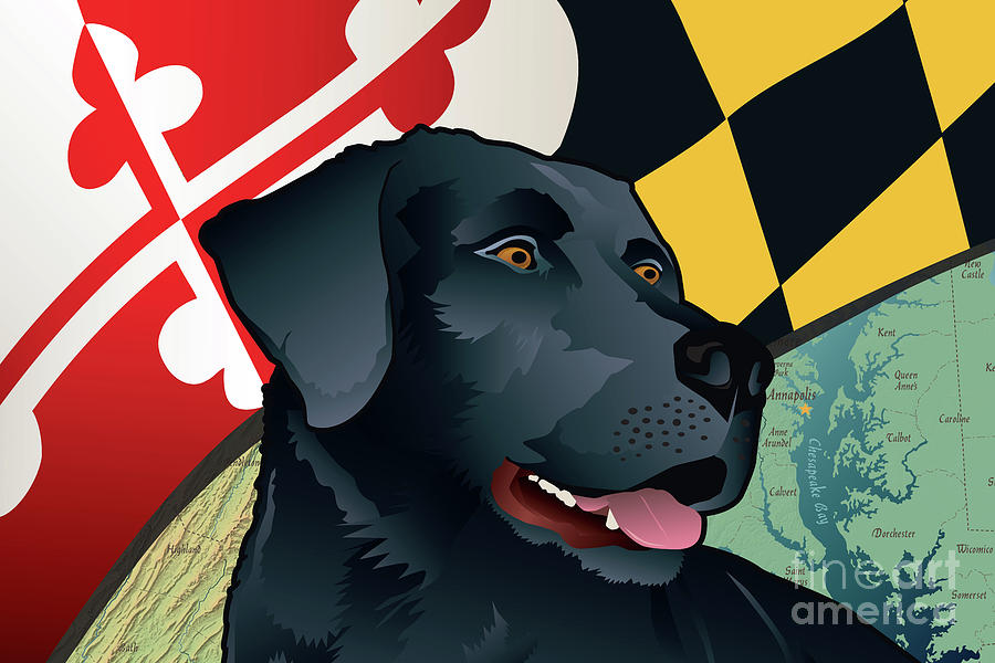 Labrador Retriever Digital Art - Maryland Black Lab - V2 by Joe Barsin