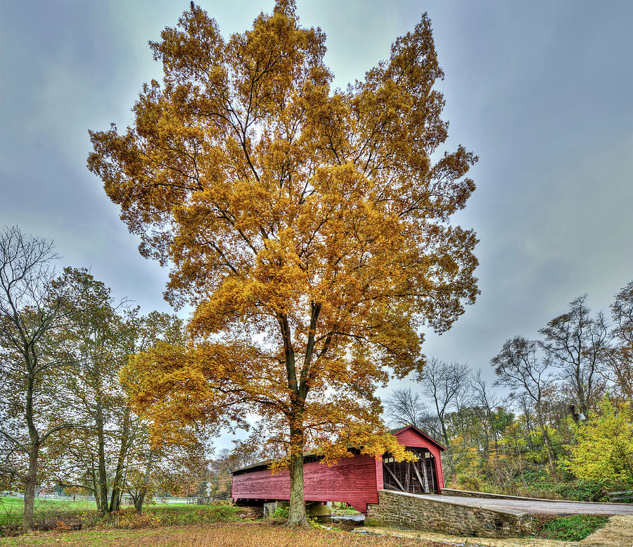 Maryland Covered Bridge in Autumn #1 Photograph by Patrick Wolf