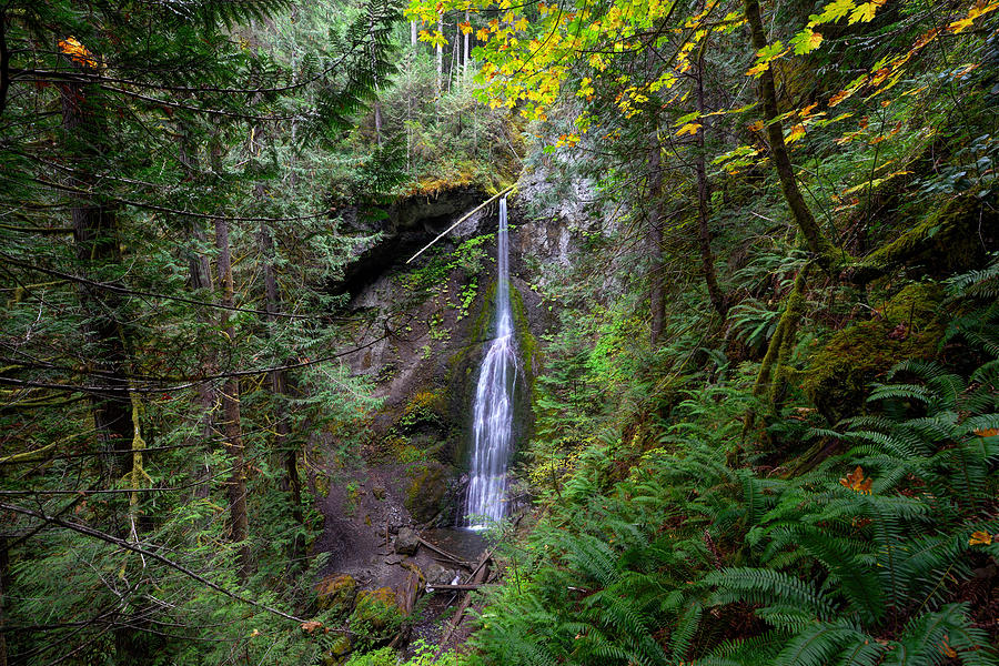 Olympic National Park Photograph - Marymere Falls #1 by Mark Whitt
