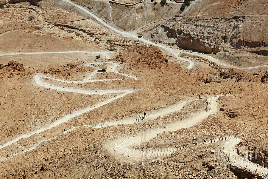 Masada the snake path  #1 Photograph by Fabian Koldorff