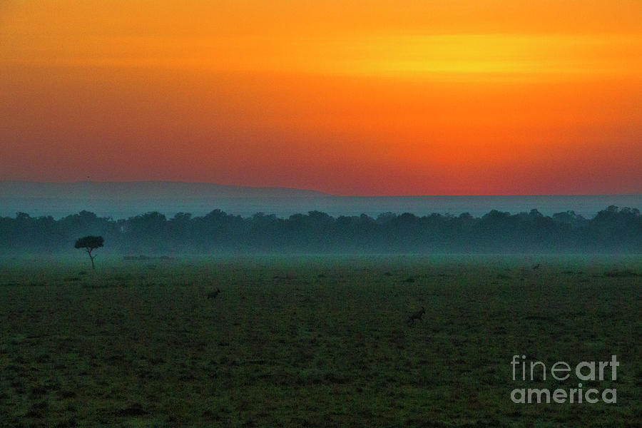 Masai Mara Sunrise #1 Photograph by Karen Lewis