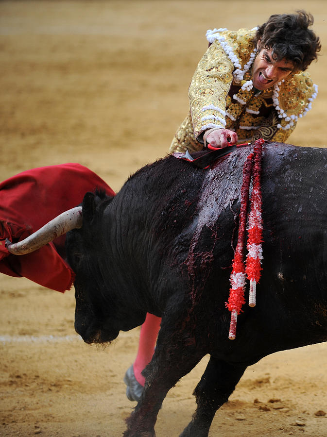 Bull Photograph - Matador Jose Tomas II #1 by Rafa Rivas