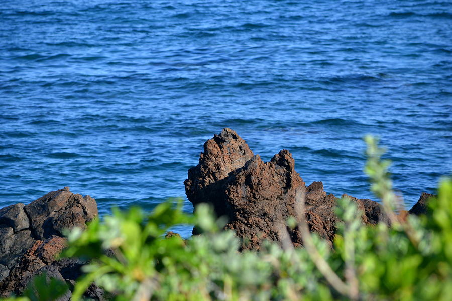 Maui HI #1 Photograph by Dean Ferreira