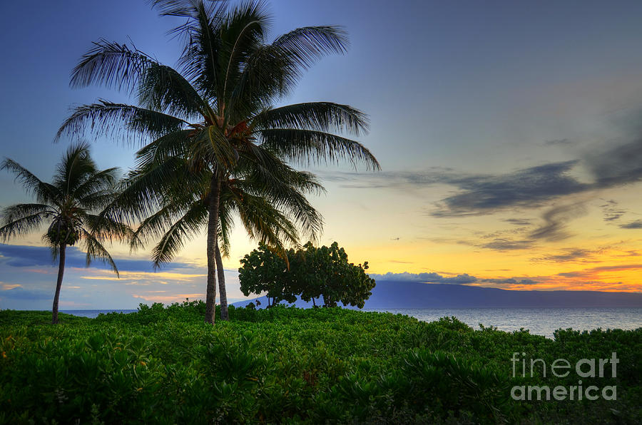 Maui Palm Sunset #2 Photograph by Kelly Wade