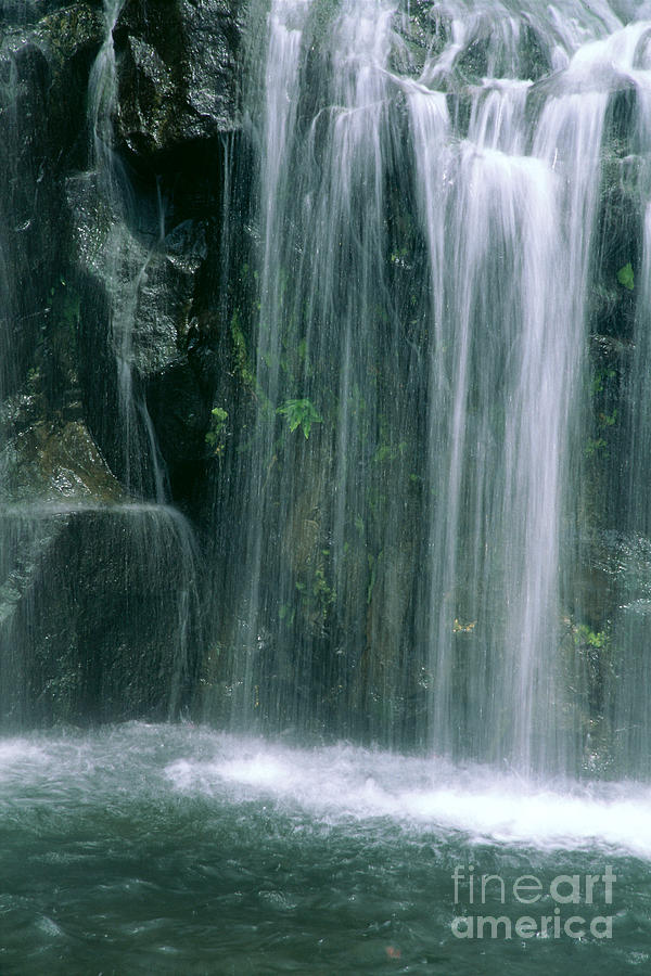 Paradise Photograph - Maui Waterfall #1 by Himani - Printscapes