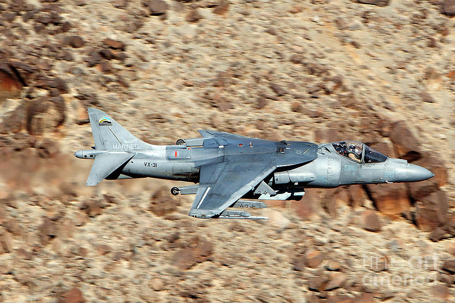 Mcdonnell Douglas Av 8b Harrier Ii Dd 08 Us Navy Vx 31 Dust Devils Photograph By Jason O Watson