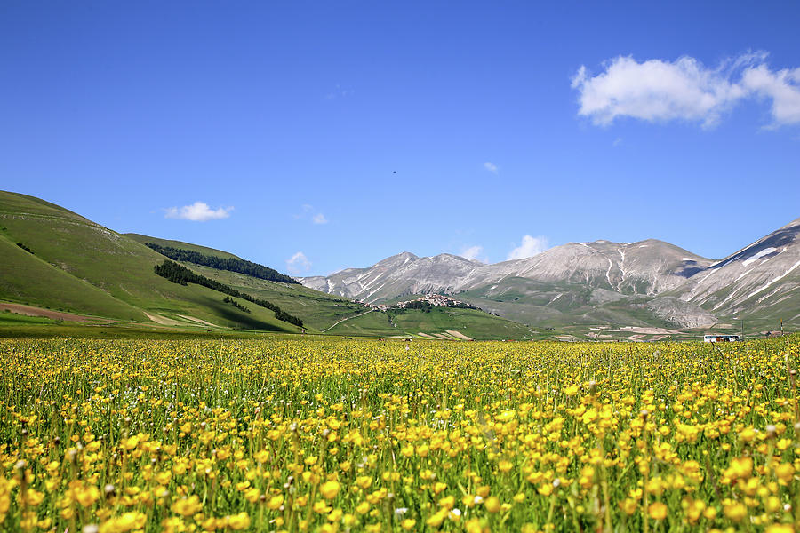 Meadow Of Flowers In Castelluccio Di Norcia Photograph by Laura Zamboni ...