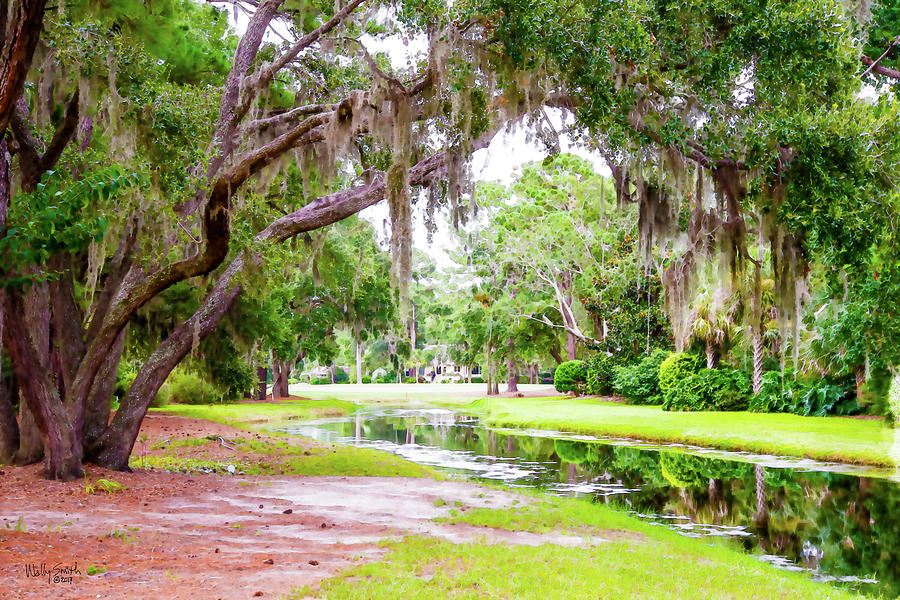 Meandering Photograph by Wally Smith | Fine Art America