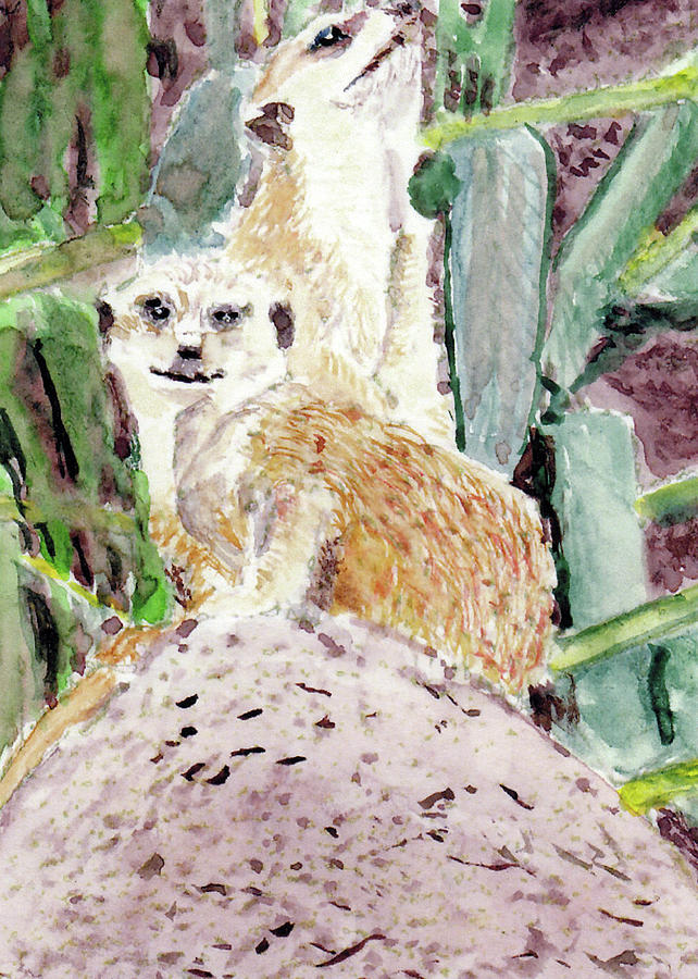 Meerkats #1 Painting by Barry Jones
