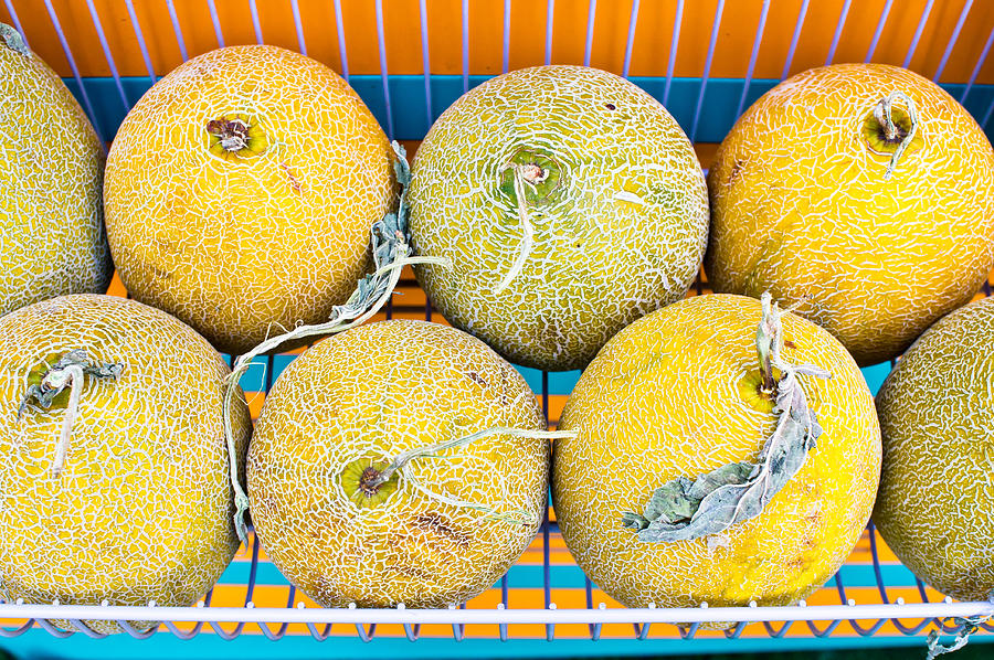 Fruit Photograph - Melons #1 by Tom Gowanlock