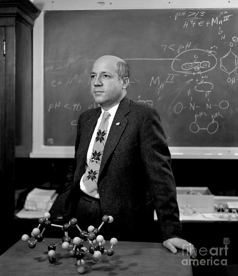 Melvin Calvin, American Chemist #1 Photograph by Science Source
