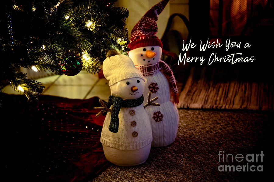 Winter Photograph - Merry Christmas #1 by Debbie Nobile