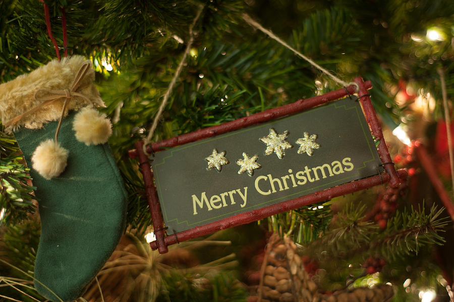 Merry Christmas #1 Photograph by Joye Ardyn Durham