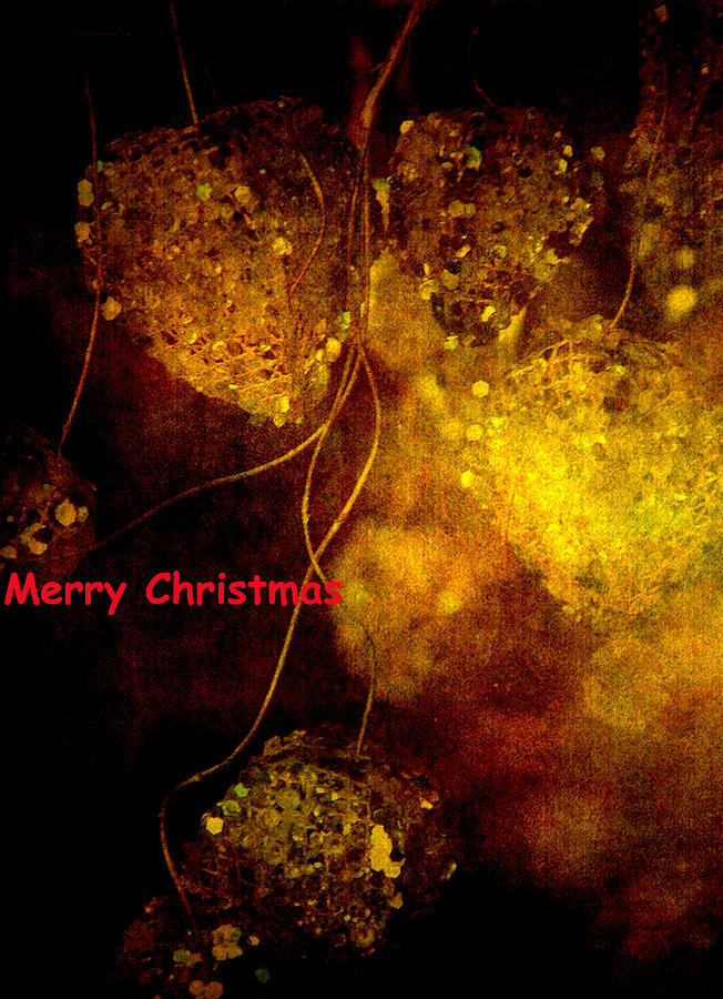 Merry Christmas  #1 Photograph by Susanne Van Hulst