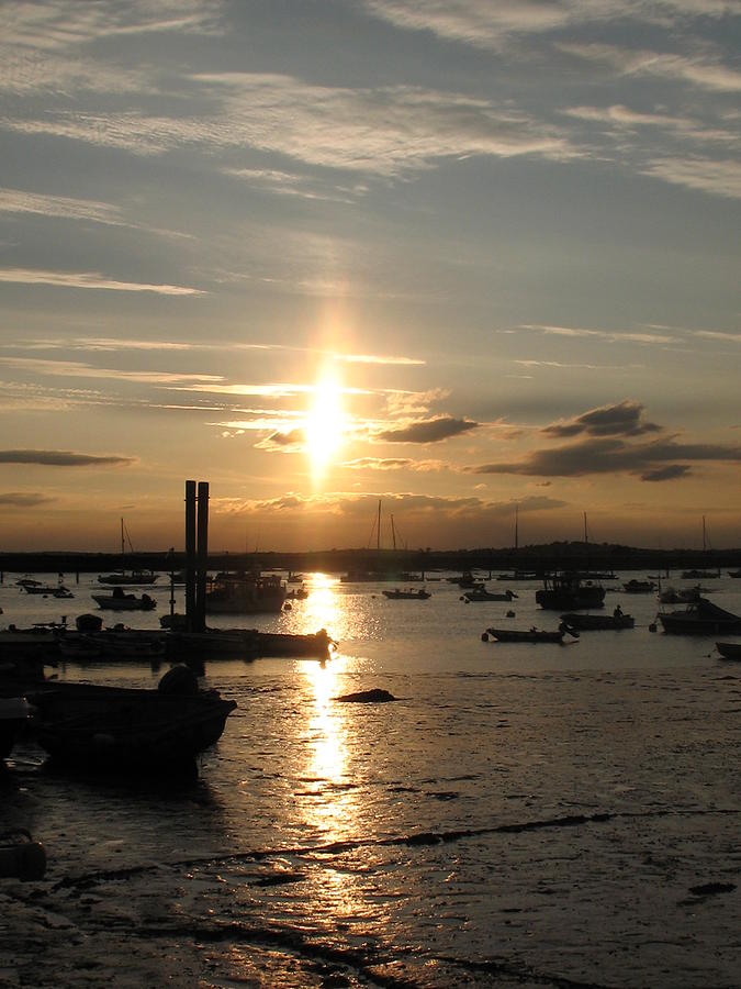 Mersea Island Sunset #1 Photograph by Angelina Whittaker Cook