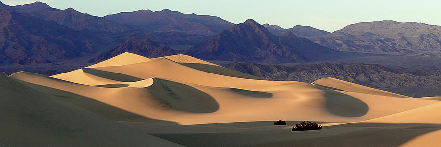 Light and Shadow Mesquite Sand Dunes Photograph by Naoki Aiba