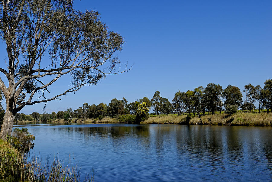 Metung Victoria Australia Photograph by David Iori - Fine Art America