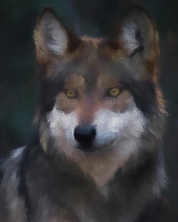 Mexican Grey Wolf DA #2 Digital Art by Ernest Echols