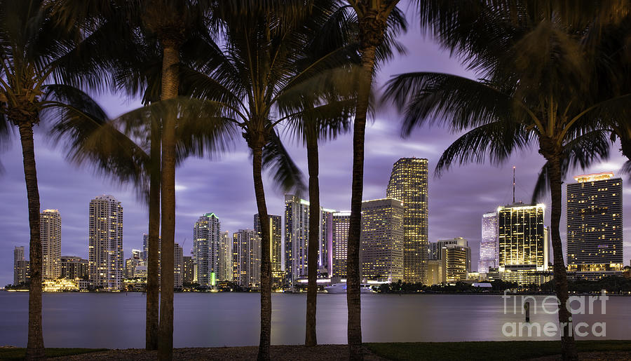 Miami Twilight II Photograph by Brian Jannsen