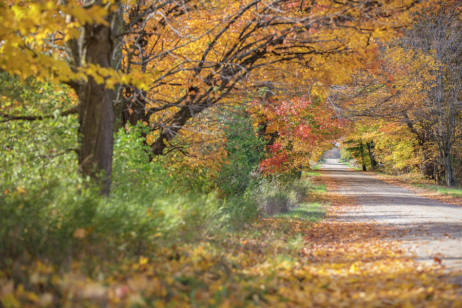 Michigan Autumn Road  #1 Photograph by John McGraw