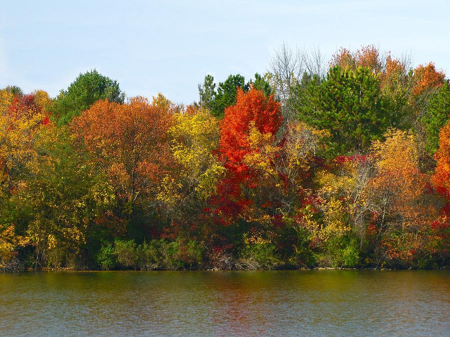 Michigan Fall Colors #1 Photograph by Scott Hovind