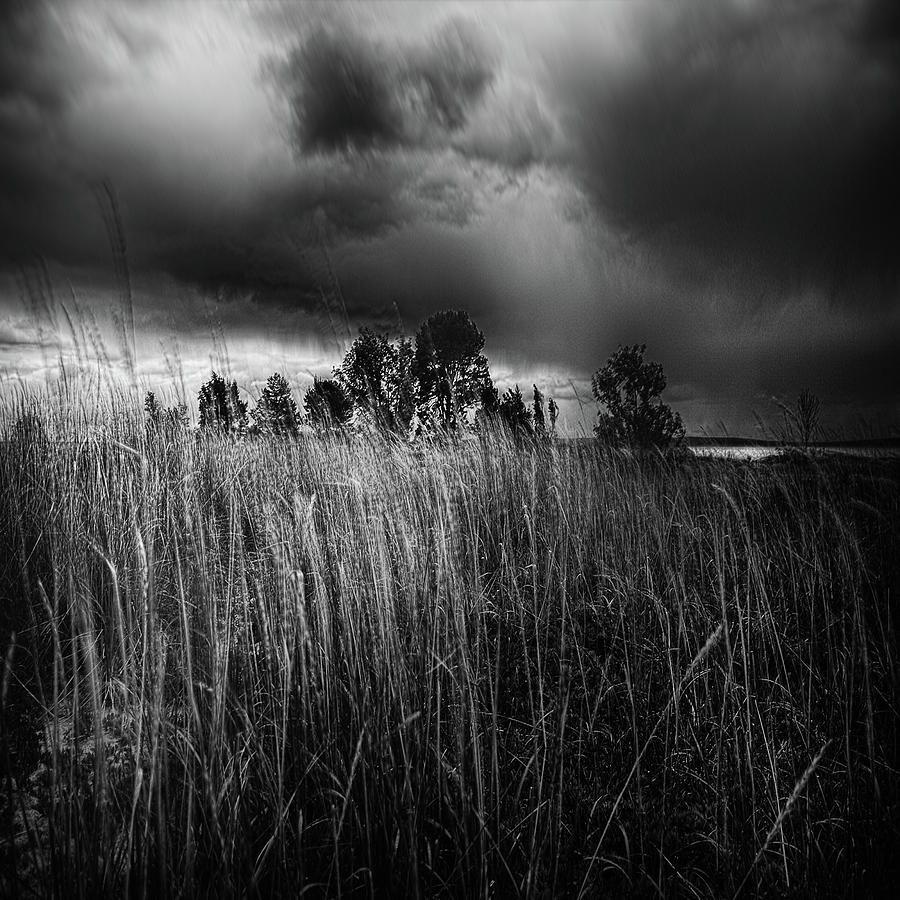 Midsummer Photograph by Mikael Jenei - Fine Art America