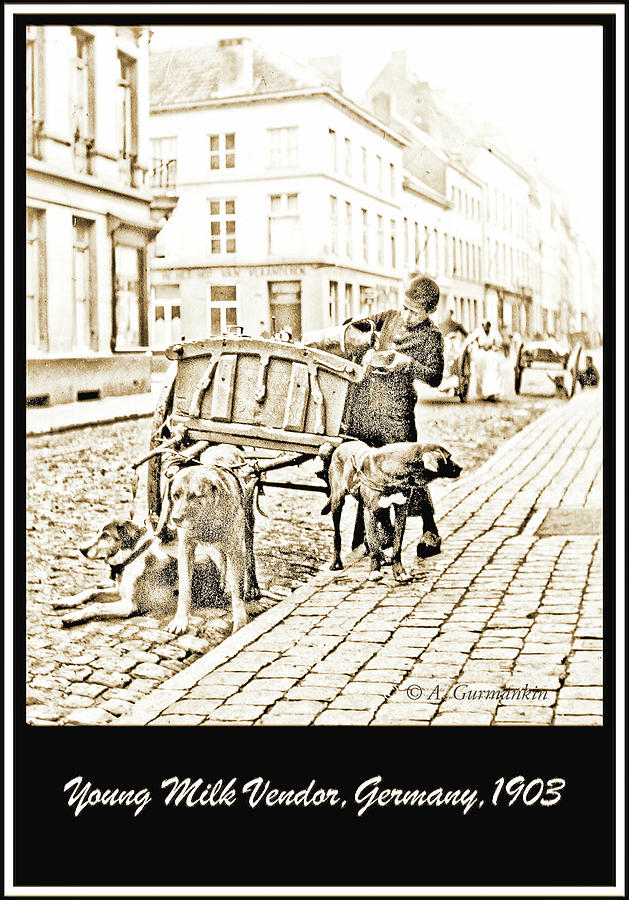 Milk Wagon, Street Scene, Germany, c. 1900, Vintage Photo #1 Photograph by A Macarthur Gurmankin