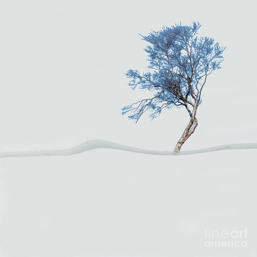 Mindfulness Tree #2 Photograph by LemonArt Photography