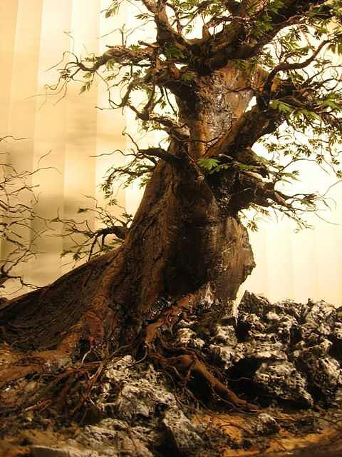Mini Forest Sculpture - Recycled 3D Art - Image 2 Painting by Nelbert Flores Mini Forest Sculpture - Recycled 3D Art - Image 2 Painting by Nelbert Flores