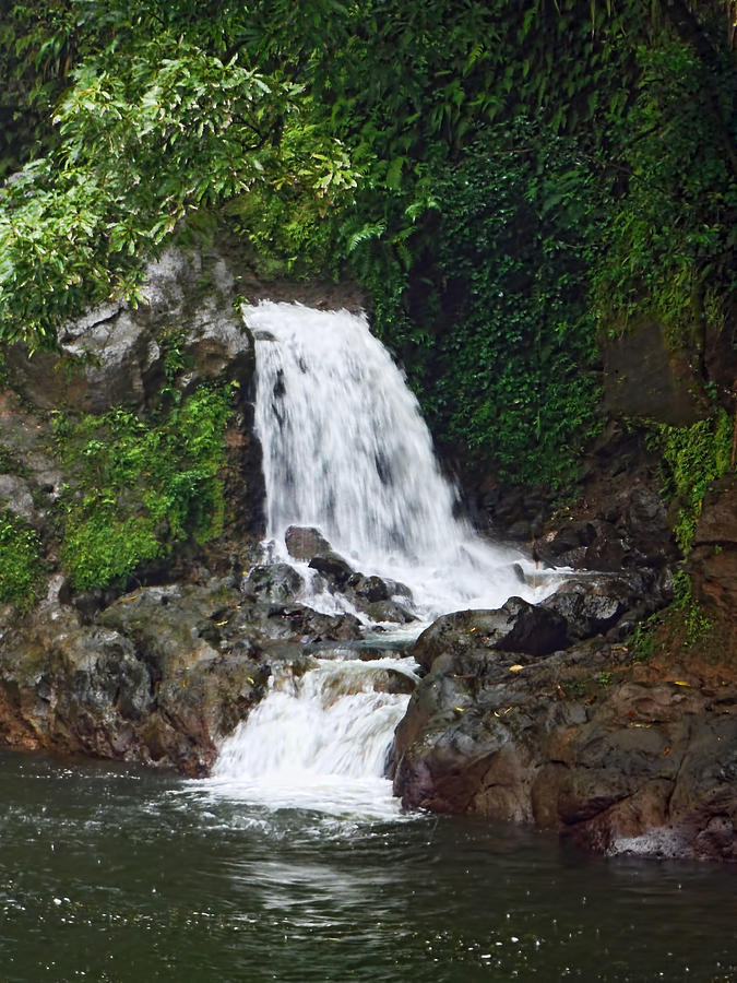 Mini Waterfall #2 Photograph by Pamela Walton