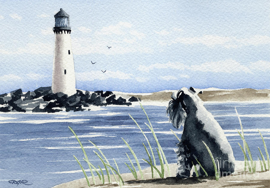 Beach Painting - Miniature Schnauzer at the Beach #2 by David Rogers