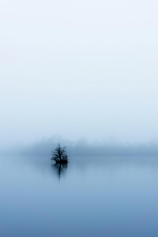 Minimalist Tree in the fog. #1 Photograph by John Paul Cullen