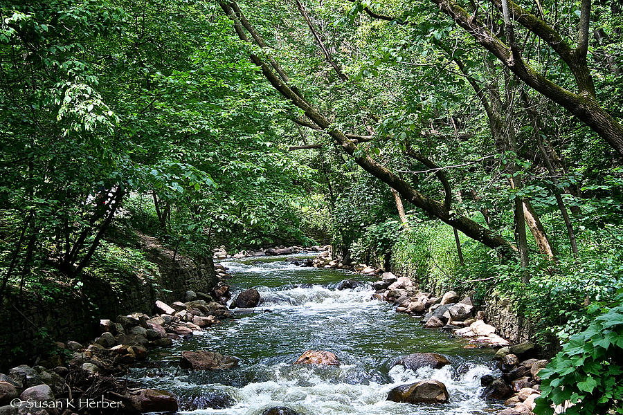 Minnehaha Creek #1 Photograph by Susan Herber