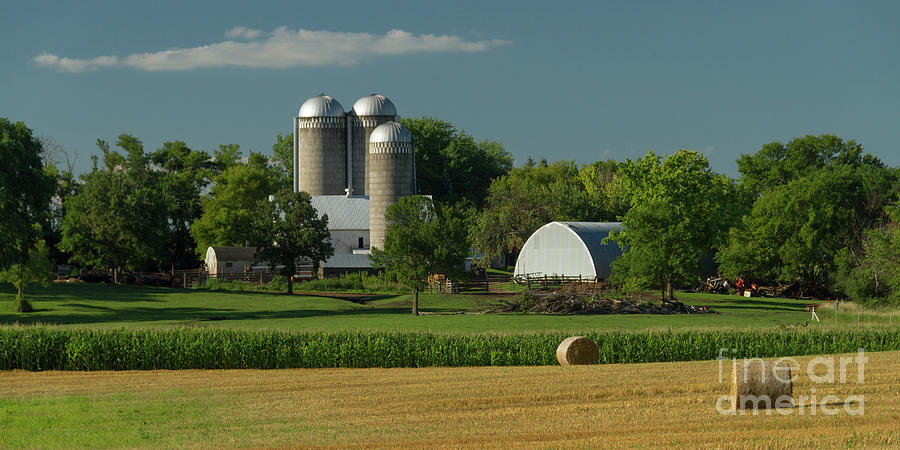 Minnesota Farm #1 Photograph by Garry McMichael