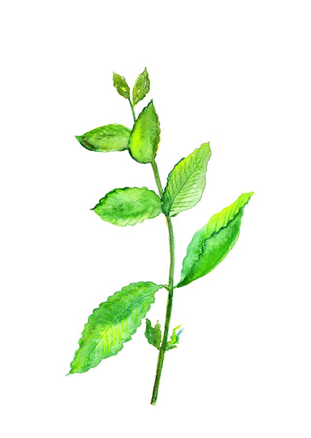 Mint Painting by Sweeping Girl Pixels