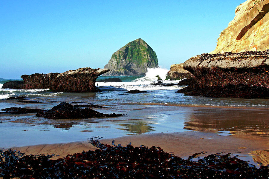 Minus Tide at Pacific City Oregon #1 Photograph by Margaret Hood