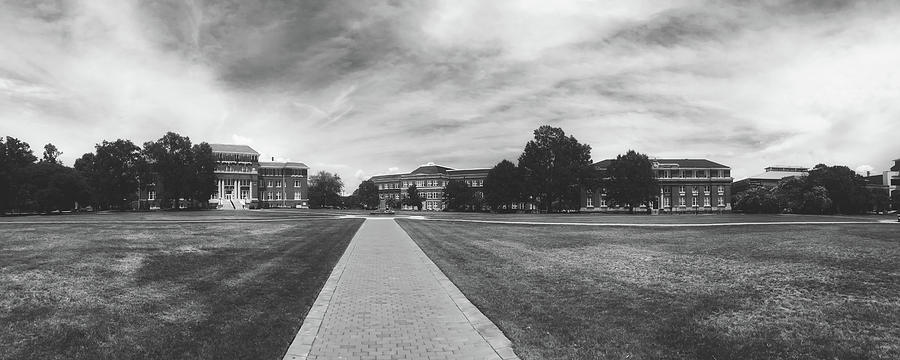 Mississippi State University #1 Photograph by Mountain Dreams