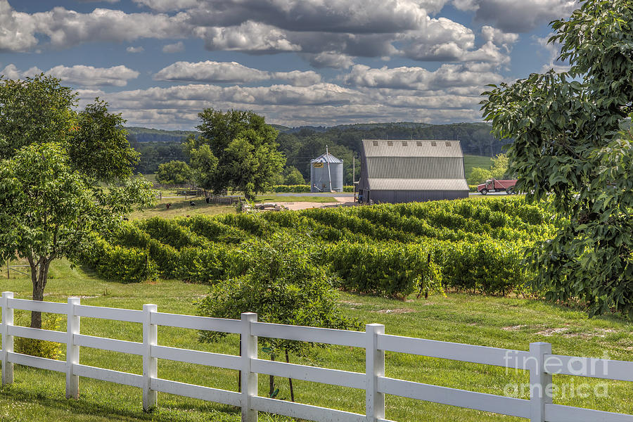 Barn Photograph - Missouri Vineyard by Larry Braun Barn Photograph - Missouri Vineyard by Larry Braun