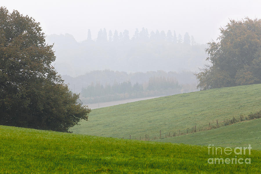 Tree Photograph - Mist over Chawton #1 by Richard Thomas