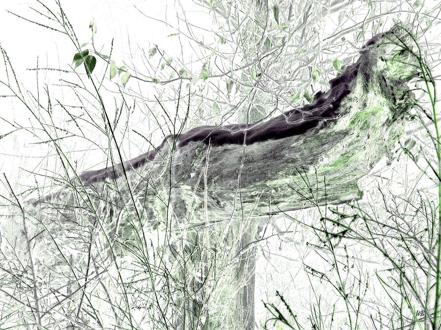 Tree Digital Art - Misty Morn #1 by Will Borden