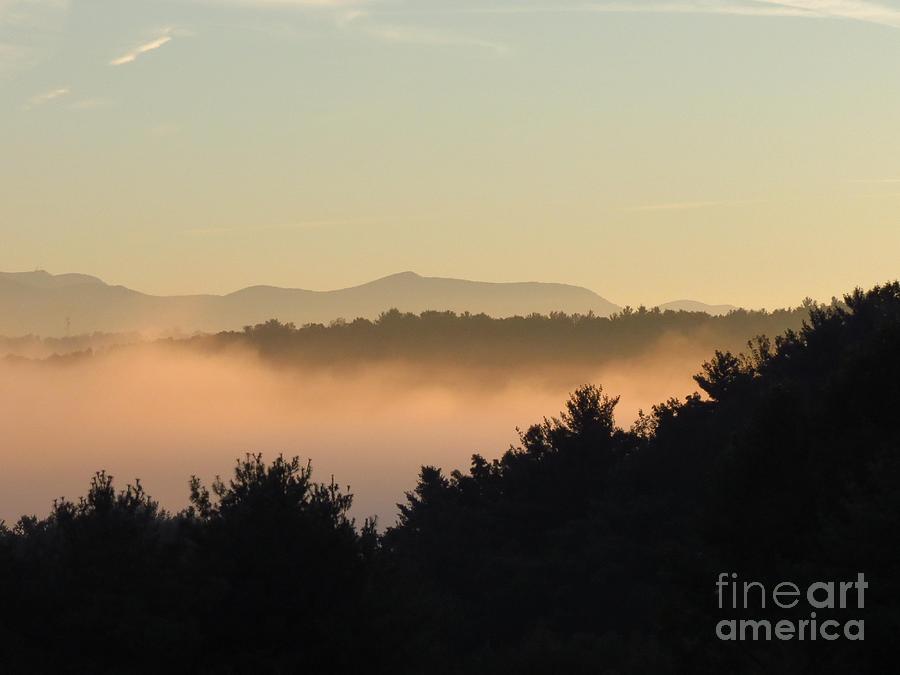 Misty Morning #1 Photograph by Anita Adams