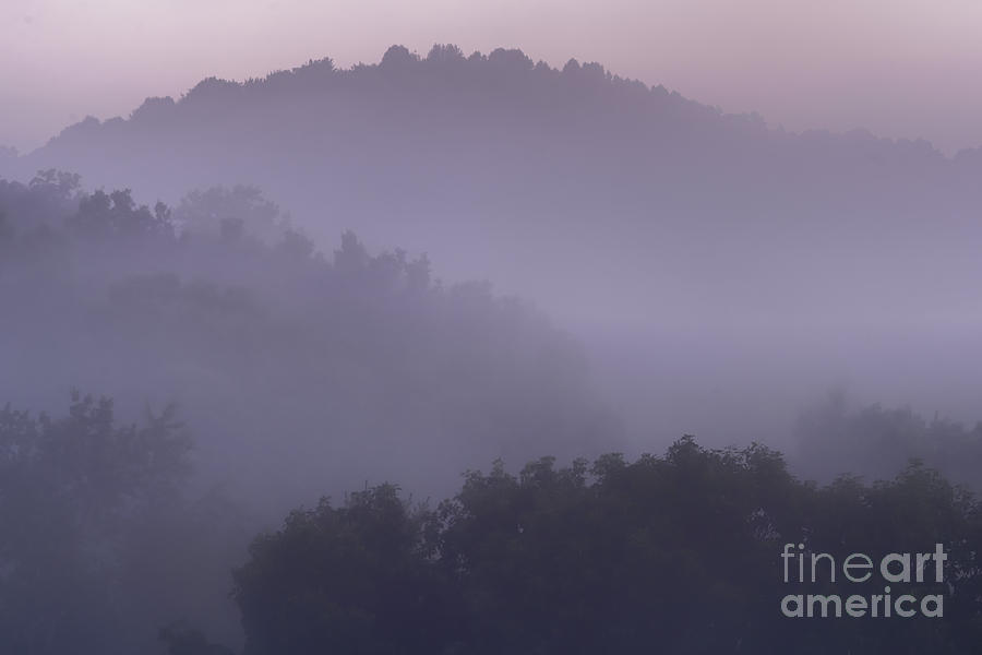 Misty Mountain Morning #1 Photograph by Thomas R Fletcher