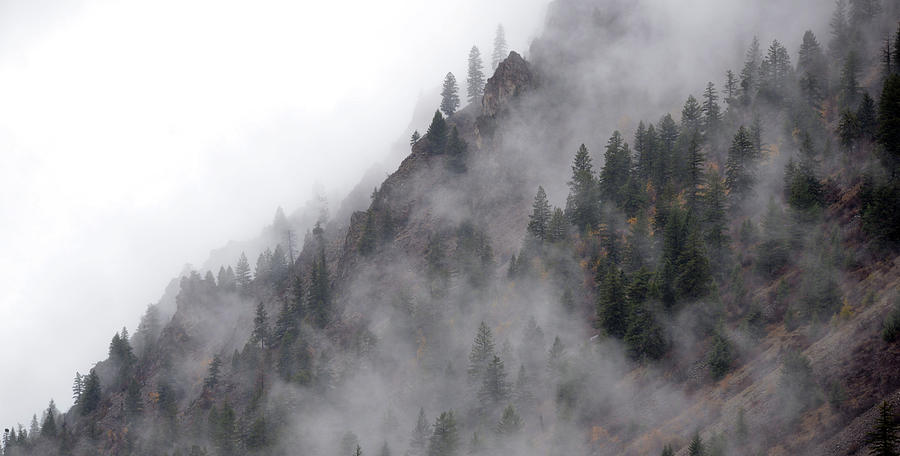Misty Mountains #1 Photograph by Whispering Peaks Photography