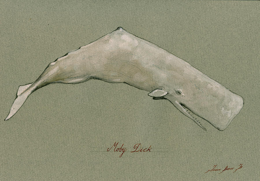 Moby Dick Painting - Moby dick the White sperm whale  #1 by Juan  Bosco