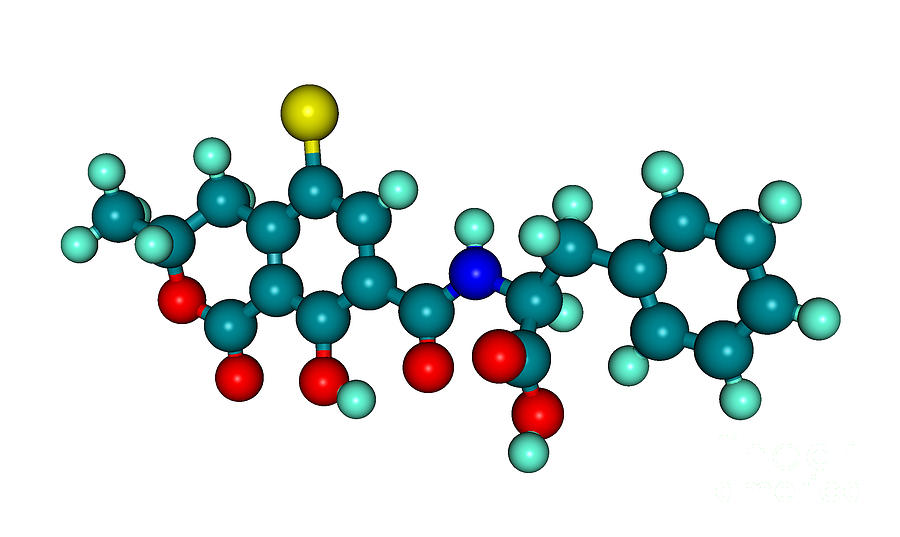 Molecular Model Of Ochratoxin A #1 Photograph by Scimat