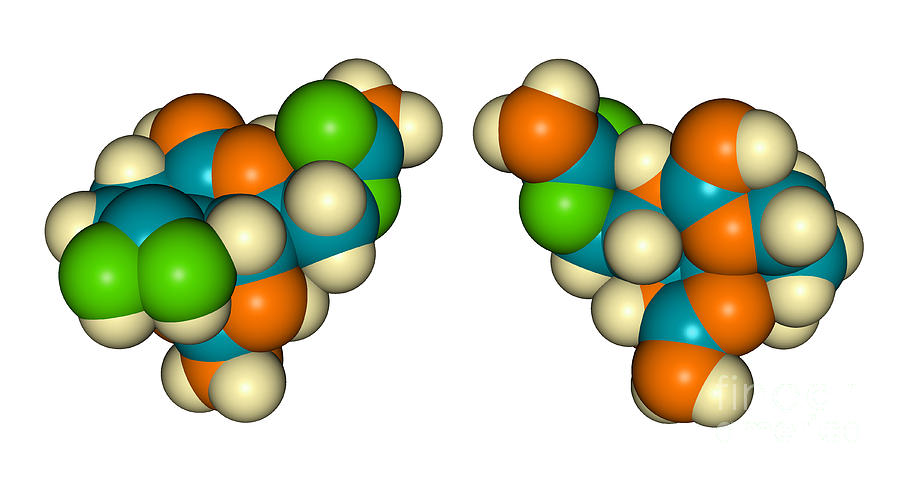 Molecular Model Saxitoxin #1 Photograph by Scimat