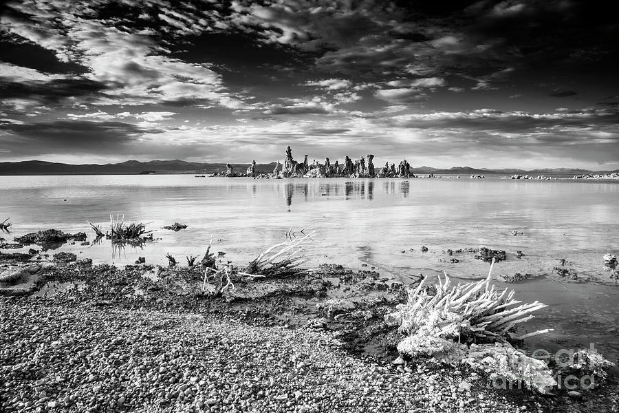Mono Lake #1 Photograph by Olivier Steiner