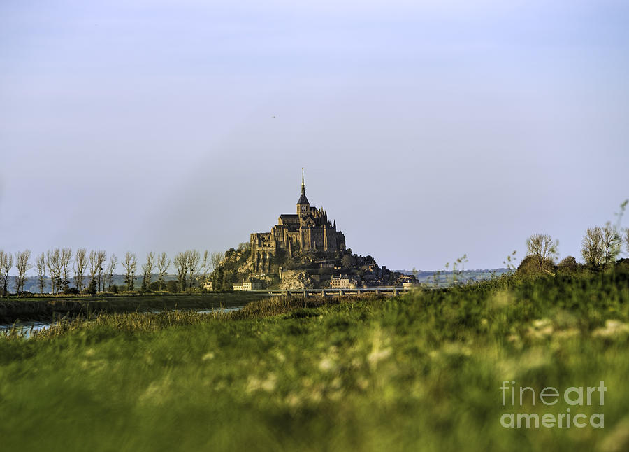 Mont St Michel dans les pres #1 Photograph by PatriZio M Busnel