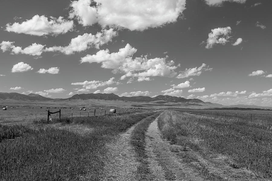 Montana Countryside Black and White  #1 Photograph by John McGraw